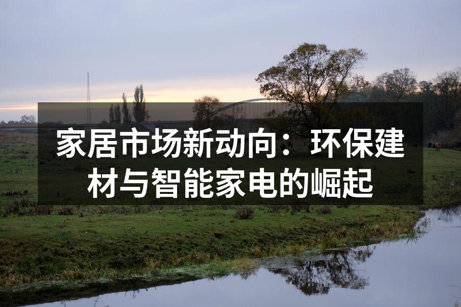 家居市场新动向：环保建材与智能家电的崛起